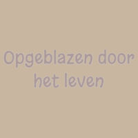 Opgeblazen door het leven - Hoodie Design