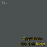Opgeblazen door het leven - Sweater Design