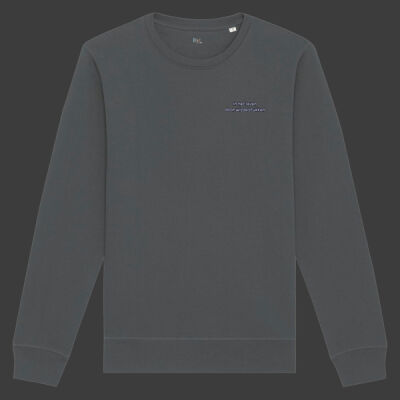 In het leven door wisselstukken - Sweater Thumbnail